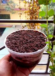 Tab Cake / Dream Cake